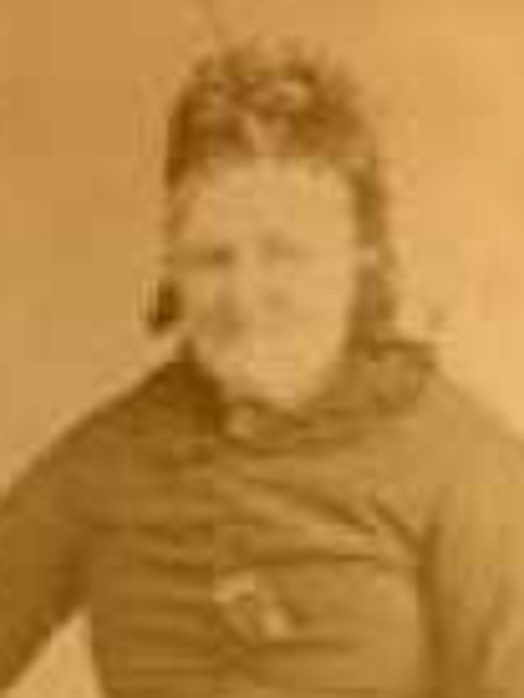Mary Wilcox (1802 - 1859) Profile